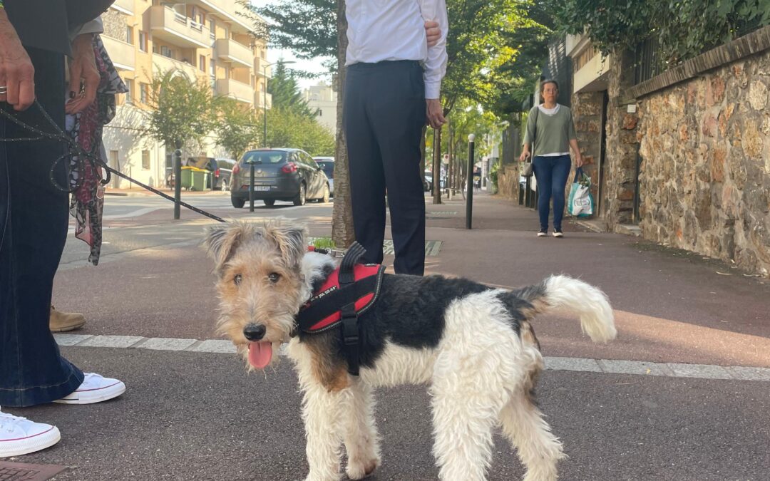 WhatsApp Image 2026 01 27 at 17.34.16