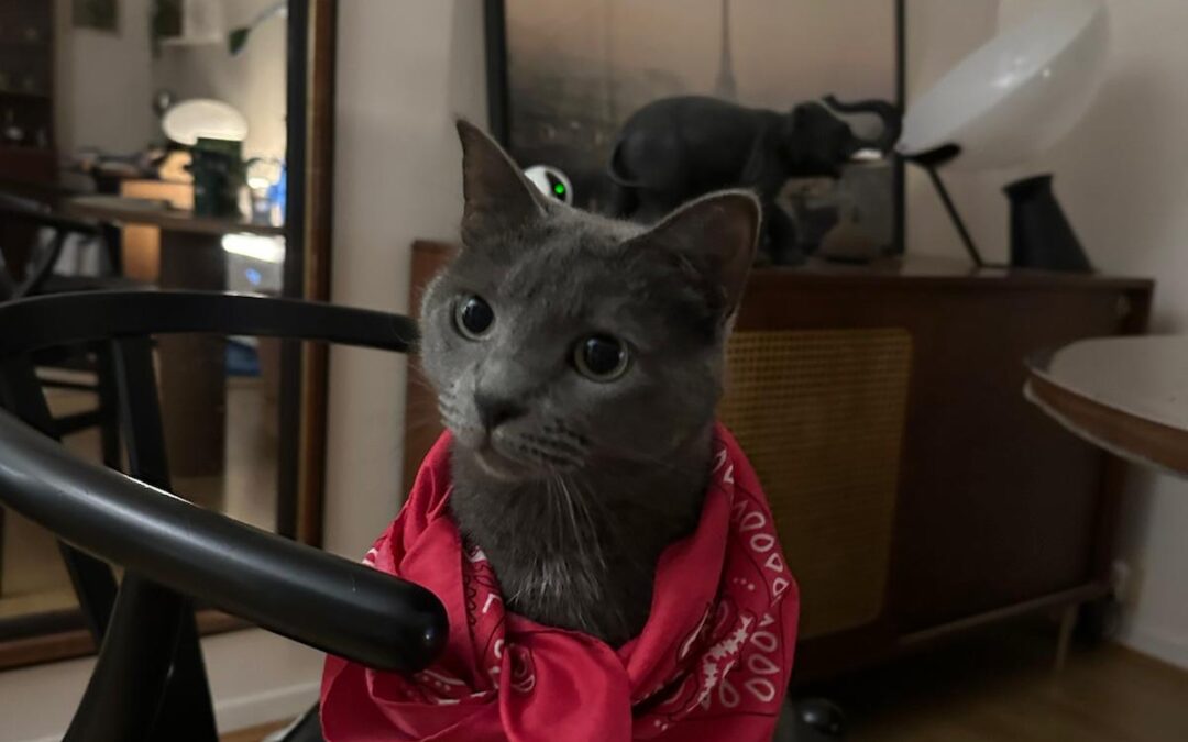 WhatsApp Image 2026 02 16 at 17.42.18